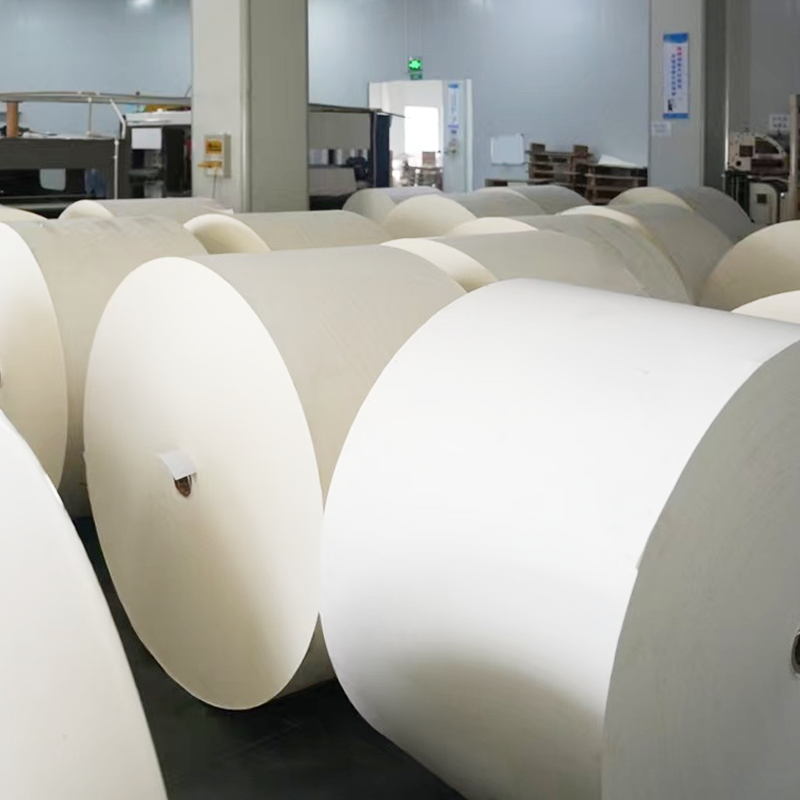 Kertas bawah cawan bersalut bebas plastik kompostable